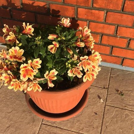 Mesola San Rocco B&B 외부 사진