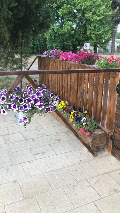 Mesola San Rocco B&B 외부 사진